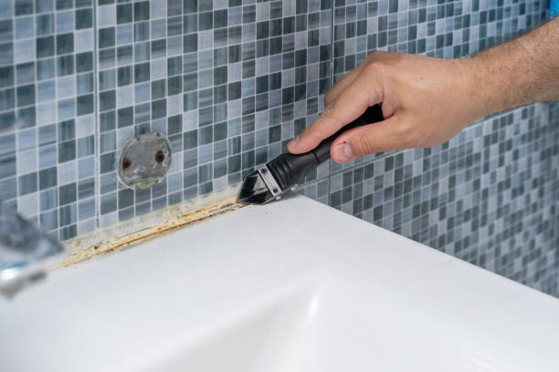 Best Mold Removal Company Near Me  in Norton, OH